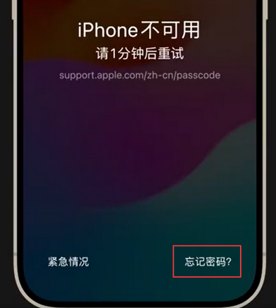 高平苹果手机密码维修分享iPhone忘记了刚设置的密码 