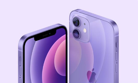 高平苹果手机维修分享紫色版iPhone 12有什么技术亮点 