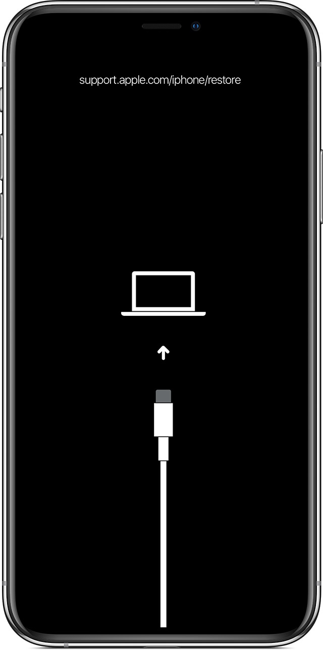 高平苹果手机维修分享iPhone 输入锁屏密码出现方框，且原密码不正确怎么办 